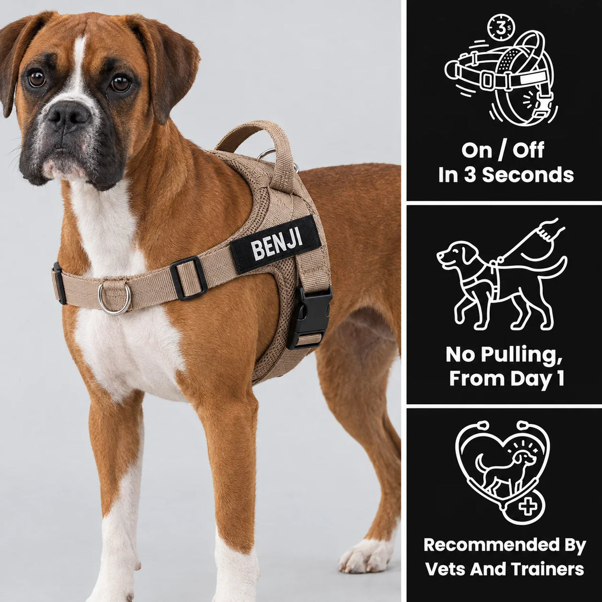 Kovah No-Pull Harness on a boxer: on in 3 seconds, no pulling from day 1