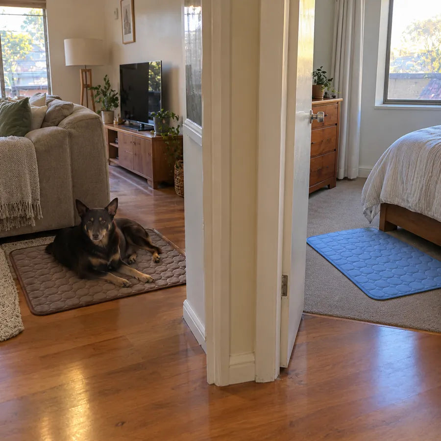 One Kovah mat in the living room and one beside the bed