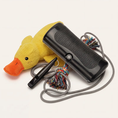 The Essentials Image