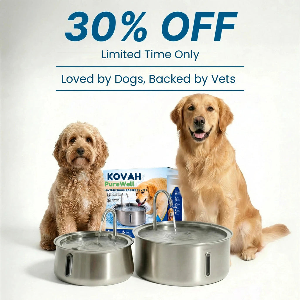 Kovah PureWell dog water fountain with two dogs
