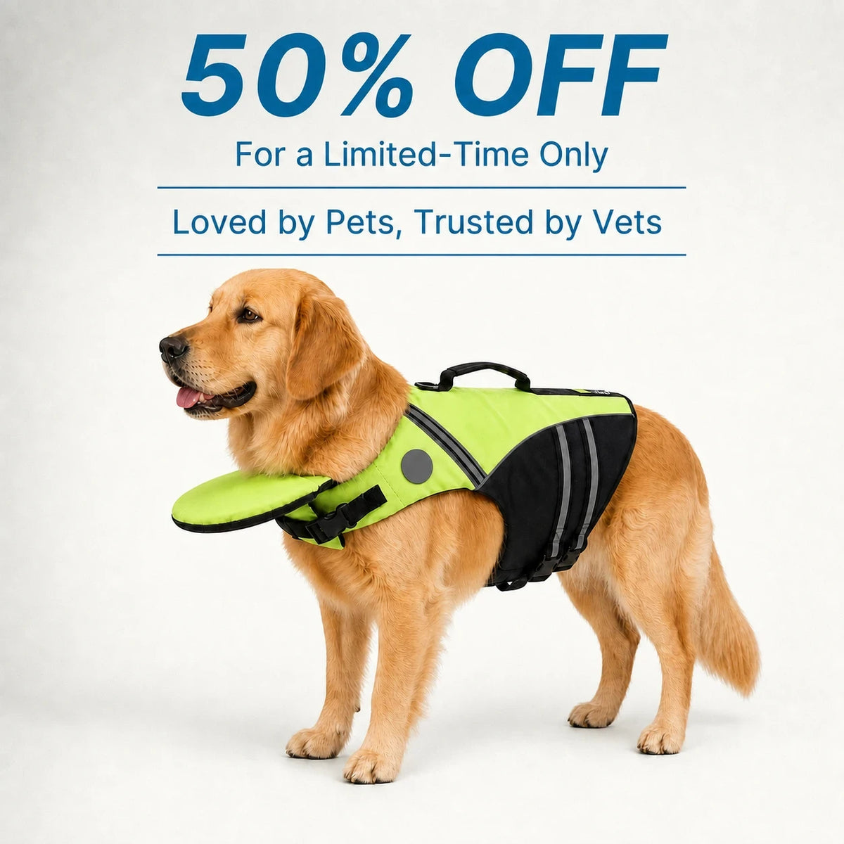 Golden retriever wearing the Kovah ChinFloat dog life jacket in lime green, padded chin float supporting the head
