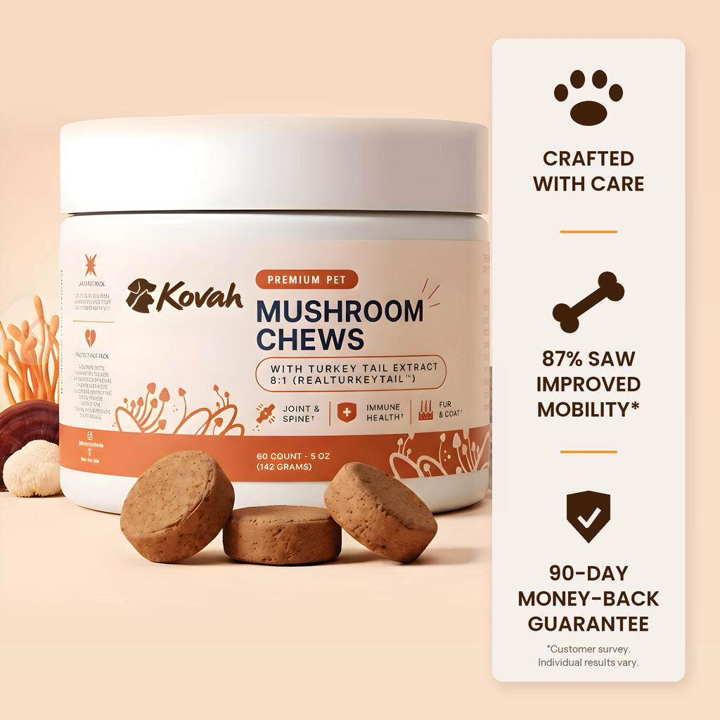 Kovah Mushroom Chews jar with soft chews and functional mushrooms