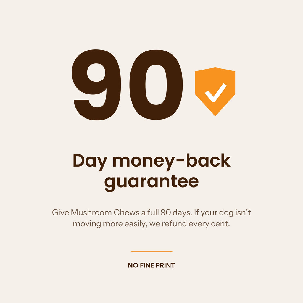 Kovah 90-day money-back guarantee