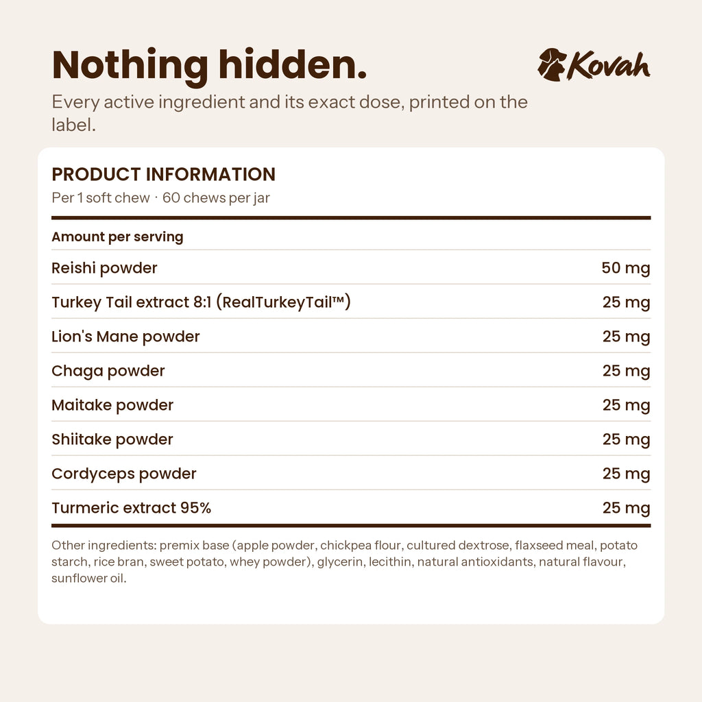 Kovah Mushroom Chews ingredients and doses per chew