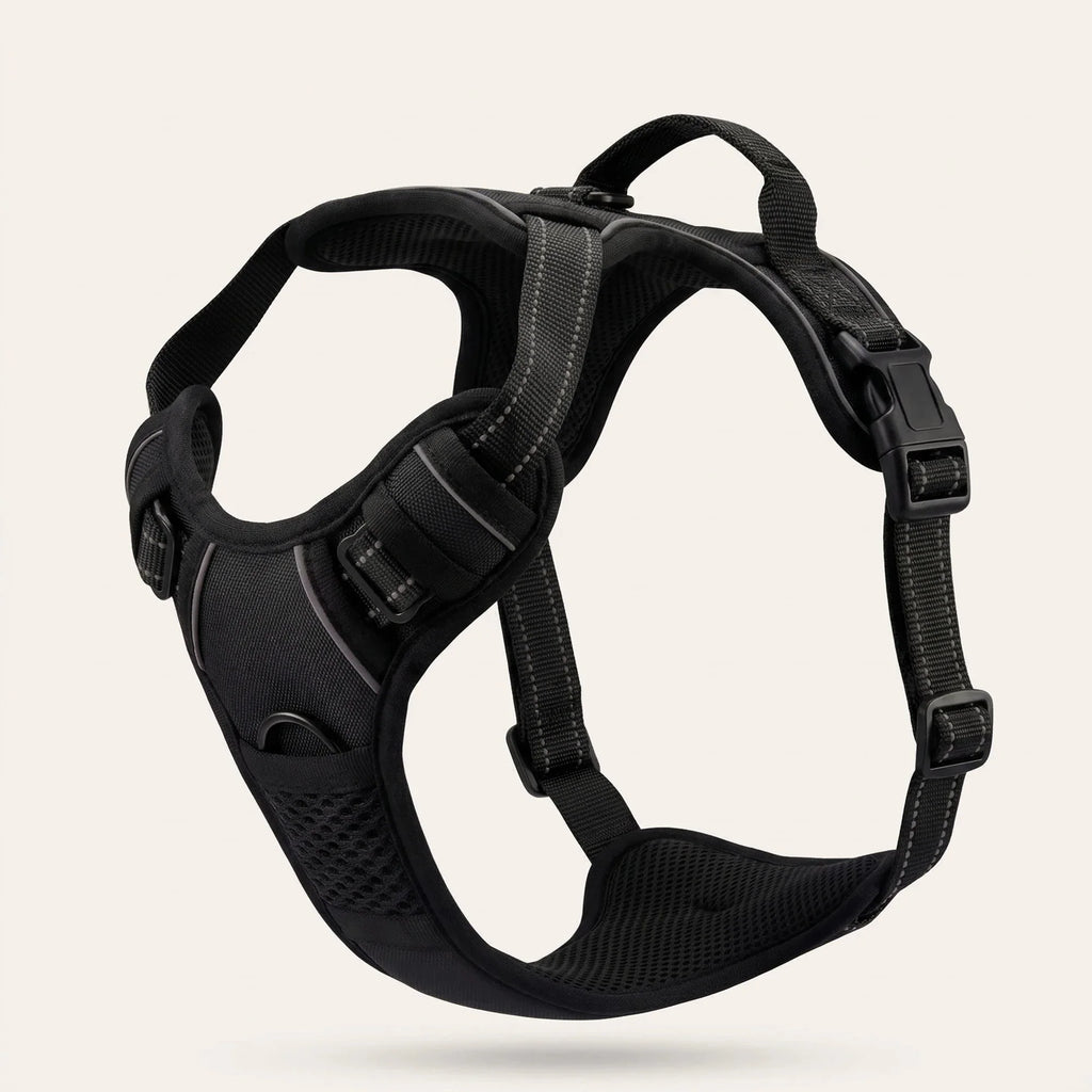 Kovah No-Pull Harness
