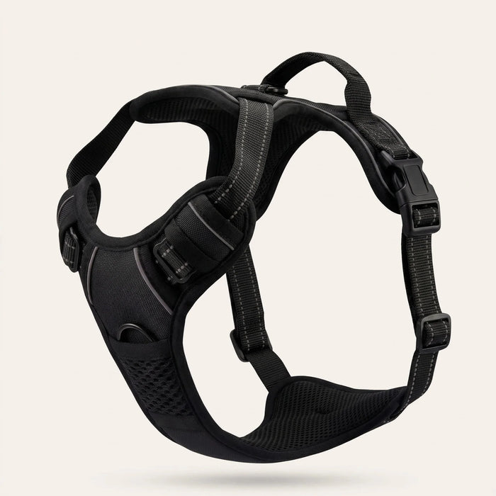 Kovah No-Pull Harness