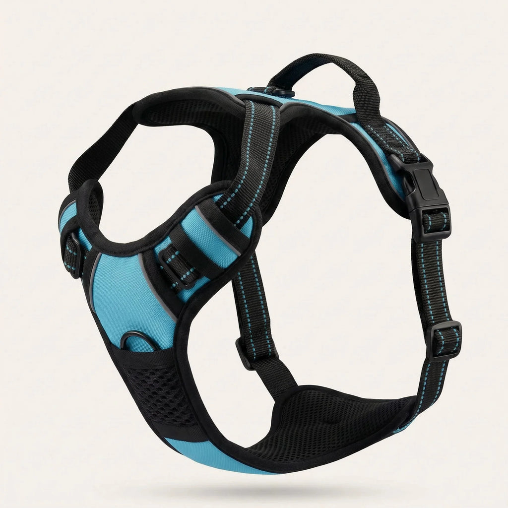 Kovah No-Pull Harness