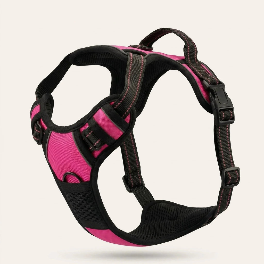 Kovah No-Pull Harness
