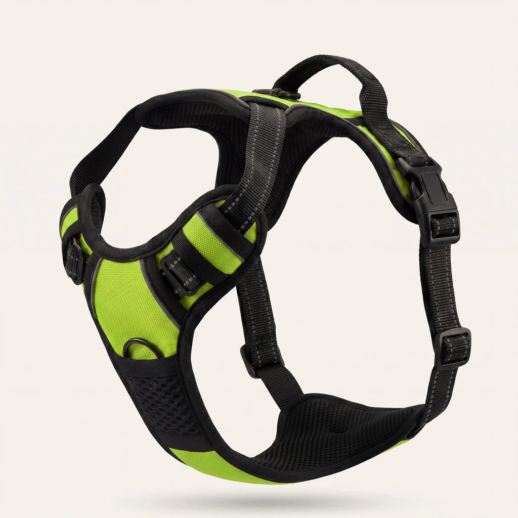 Kovah No-Pull Harness
