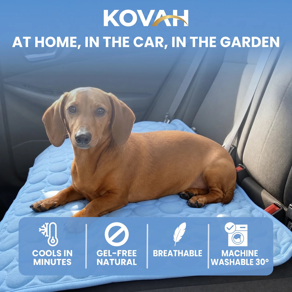 Kovah Cooling Mat (2 for 1)