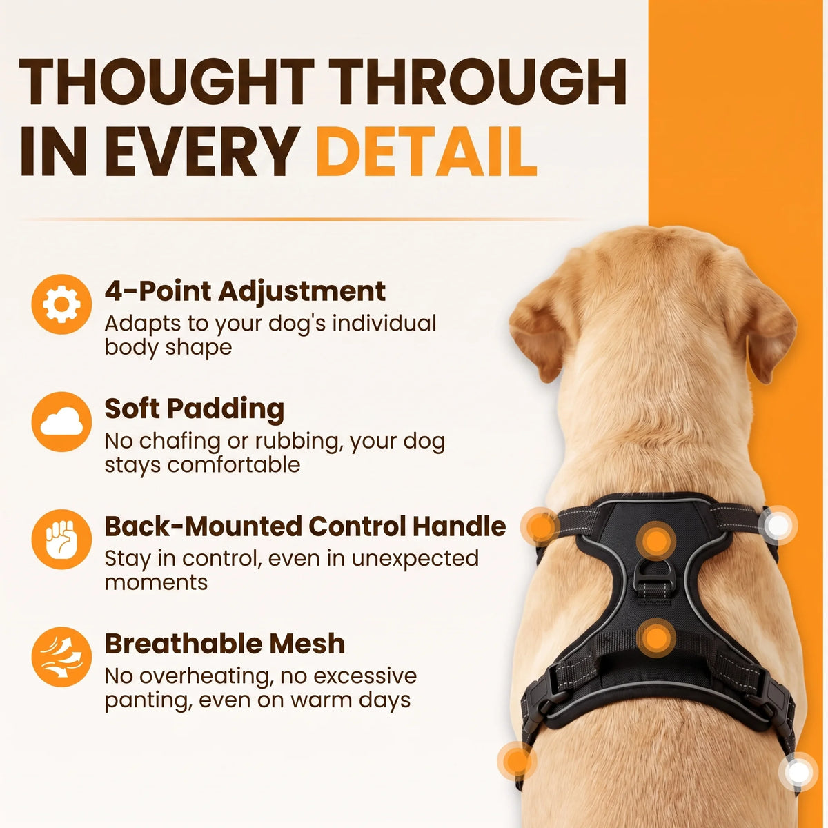 Kovah No-Pull Harness