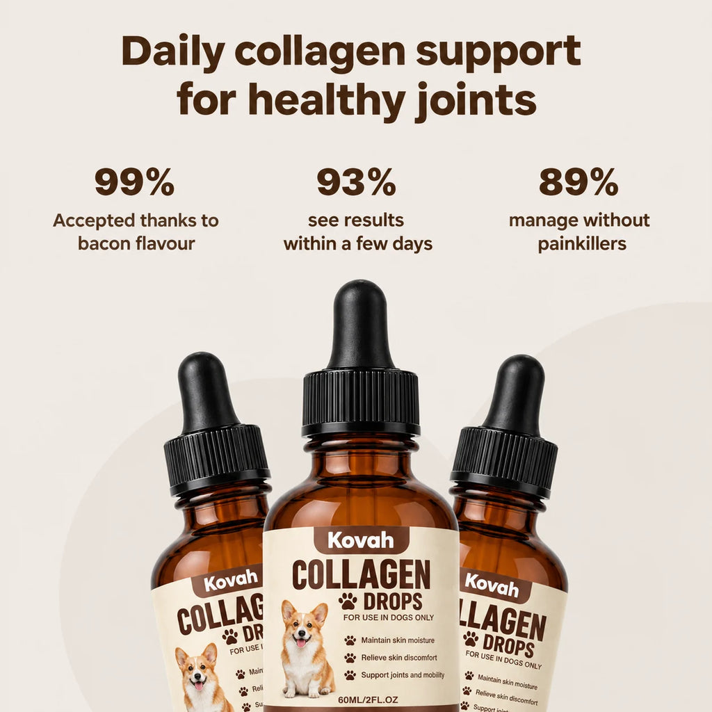 Daily collagen support for healthy dog joints