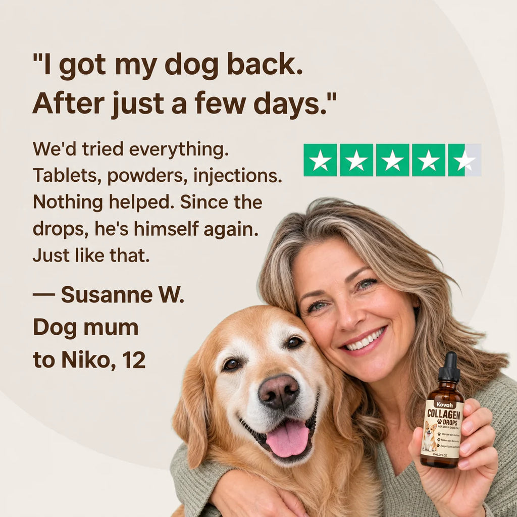Dog owner review of Kovah collagen drops