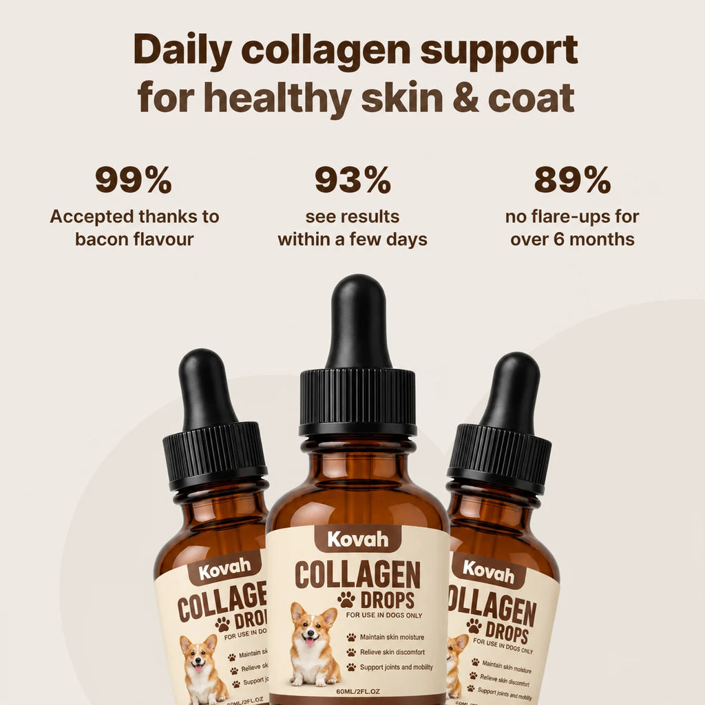 Daily collagen support for healthy dog skin and coat