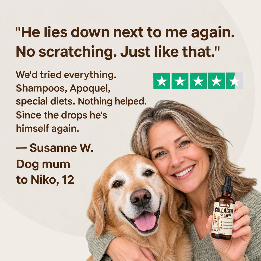 Dog owner review of Kovah collagen drops for itchy skin