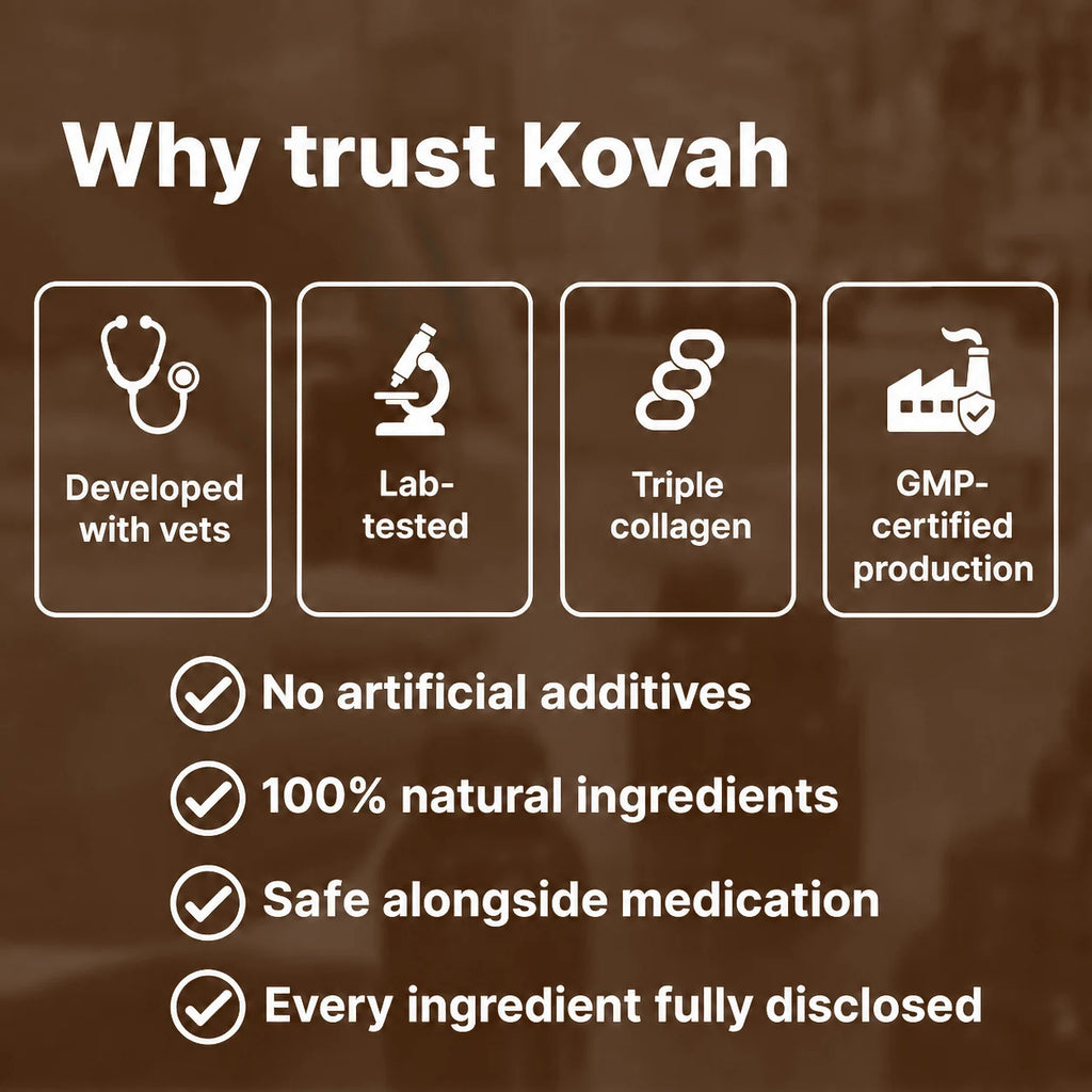 Why trust Kovah collagen drops for dogs