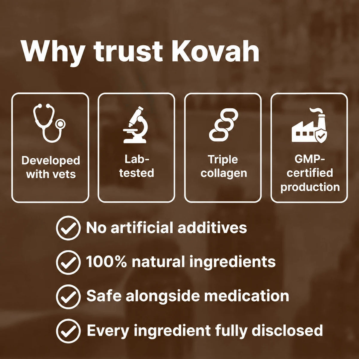 Why trust Kovah collagen drops for dogs