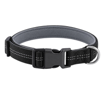 Kovah Padded Collar