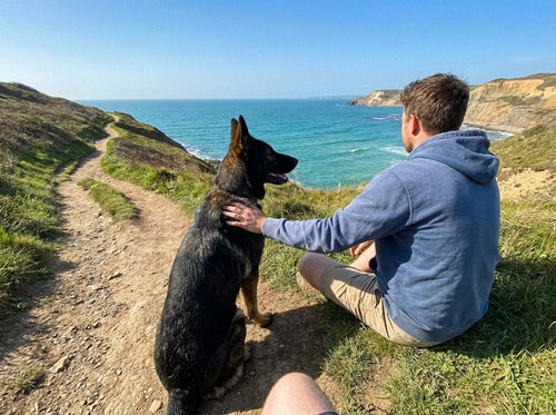 German Shepherd with its owner on a coastal path