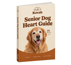 Senior Dog Heart Guide