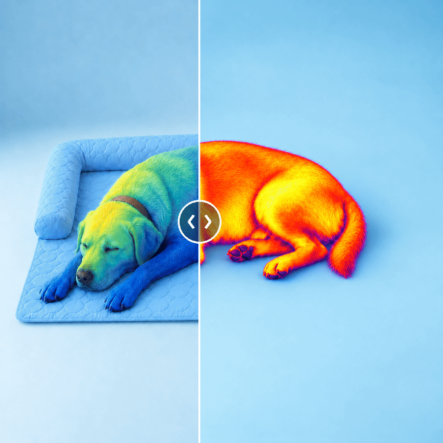 Thermal view, hot dog versus cooled down