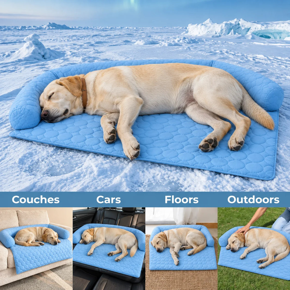 Couches, cars, floors and outdoors