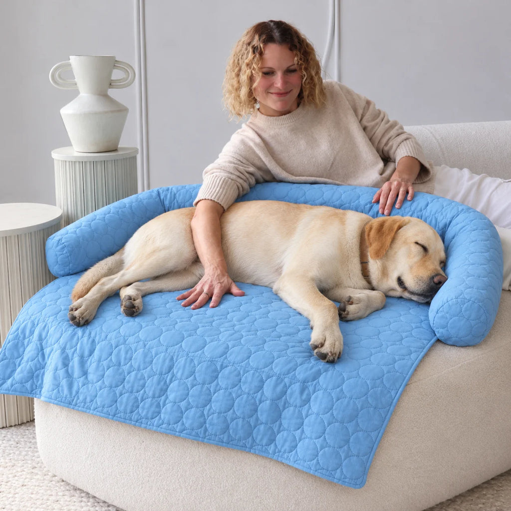 Owner with her Labrador on the V2