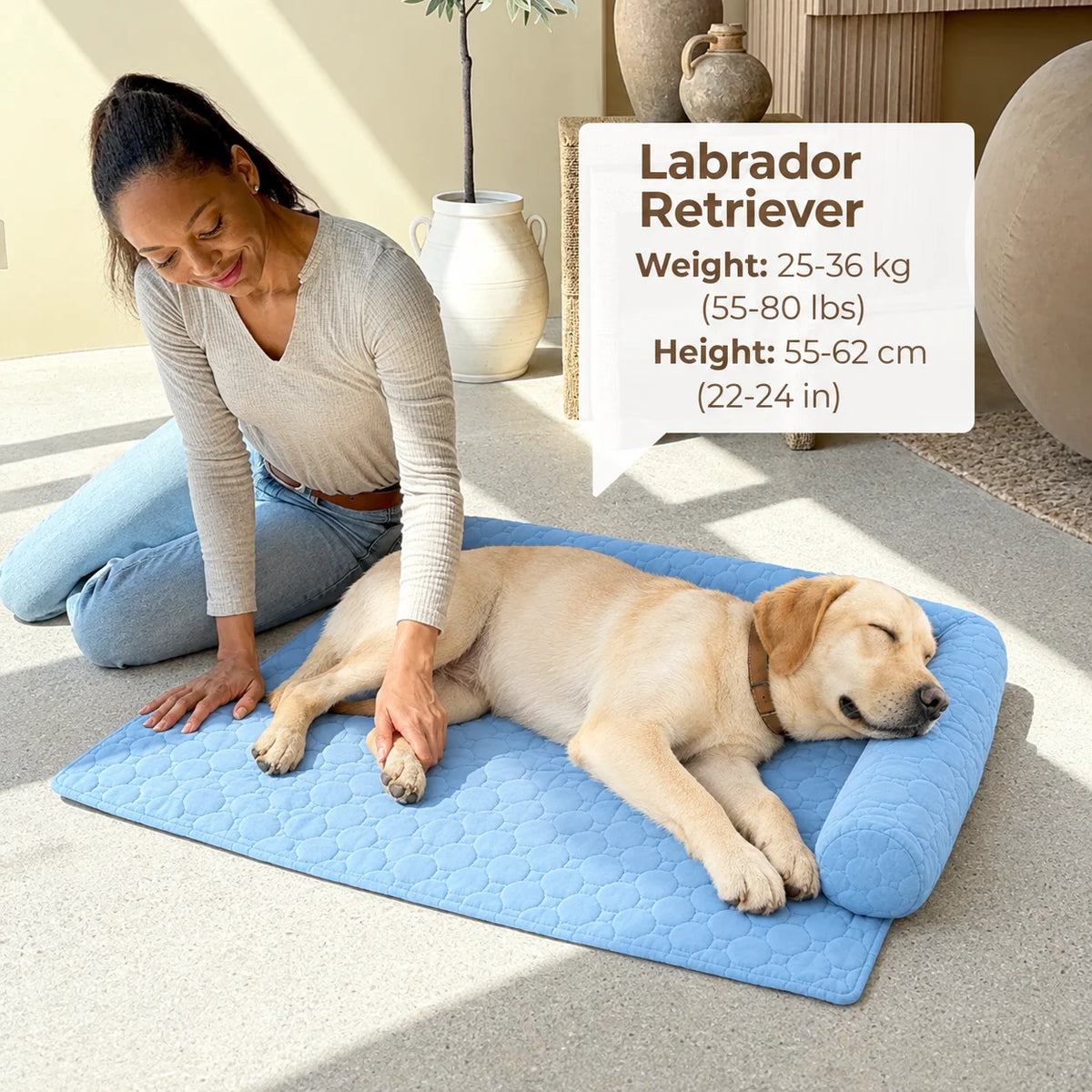Measuring a Labrador for the right size
