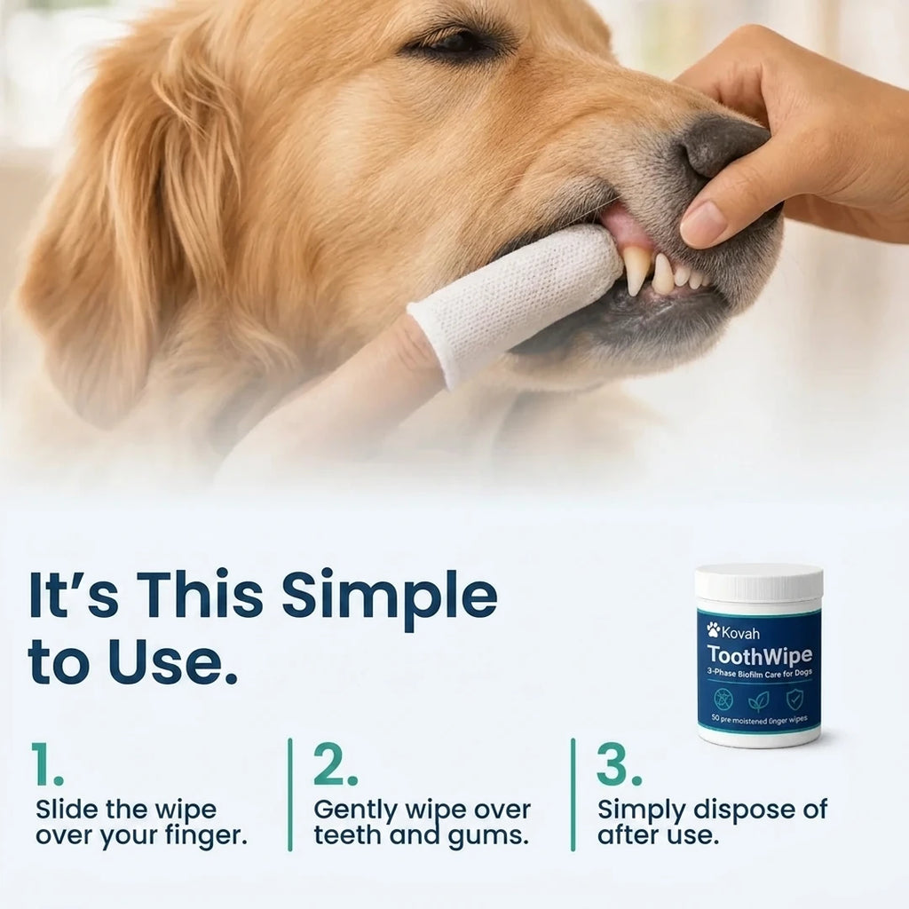 Dental wipes Kovah
