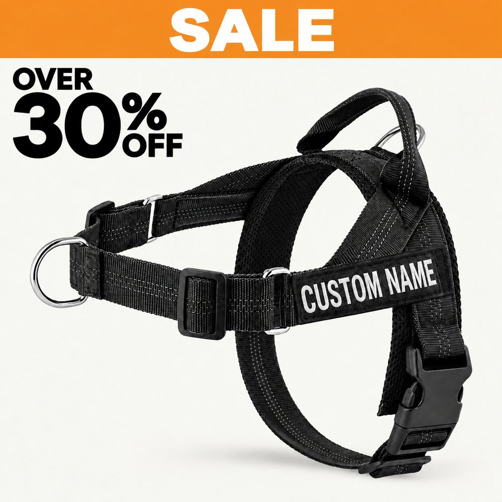 Kovah No-Pull Harness
